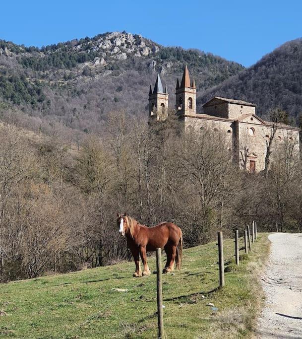 El Mussol De La Vila Camprodon, Balconets Amb Vistes A La Placa Eksteriør bilde